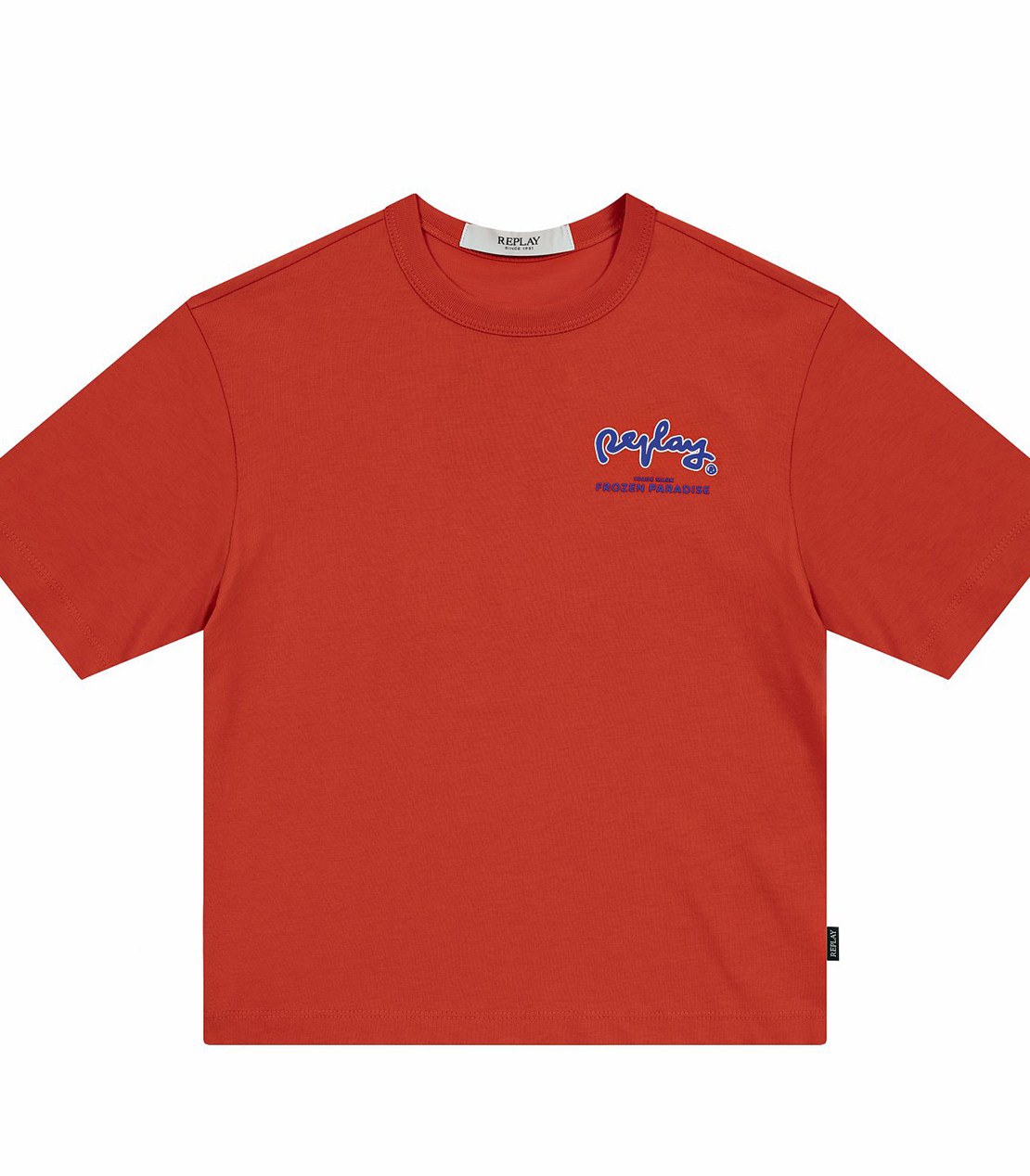 バックプリントTシャツ